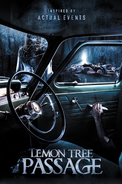 Lemon Tree Passage (2014) poster
