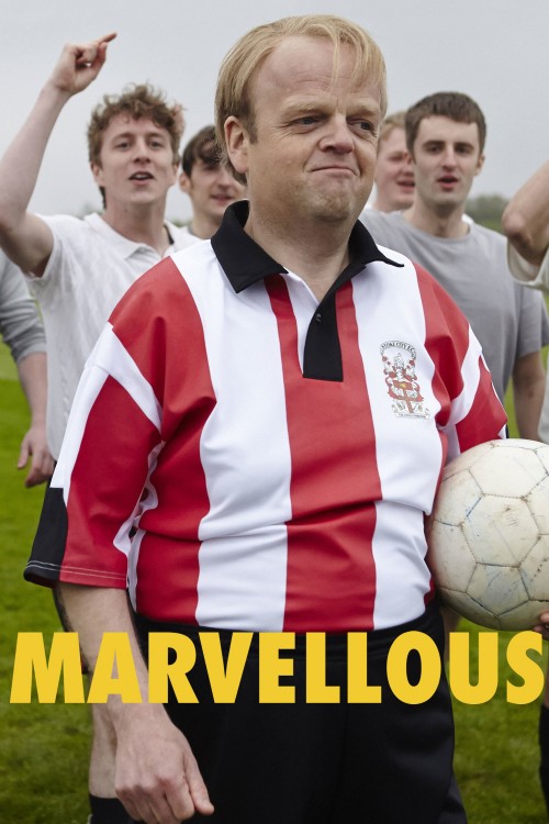 Marvellous (2014) poster