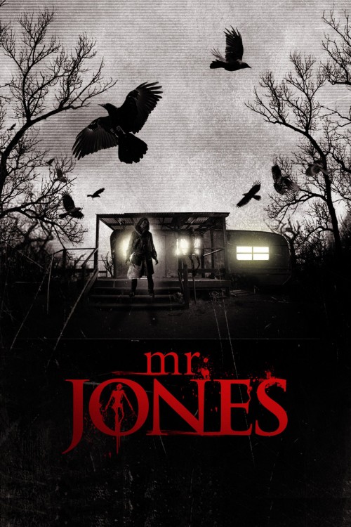 Mr. Jones (2013) poster