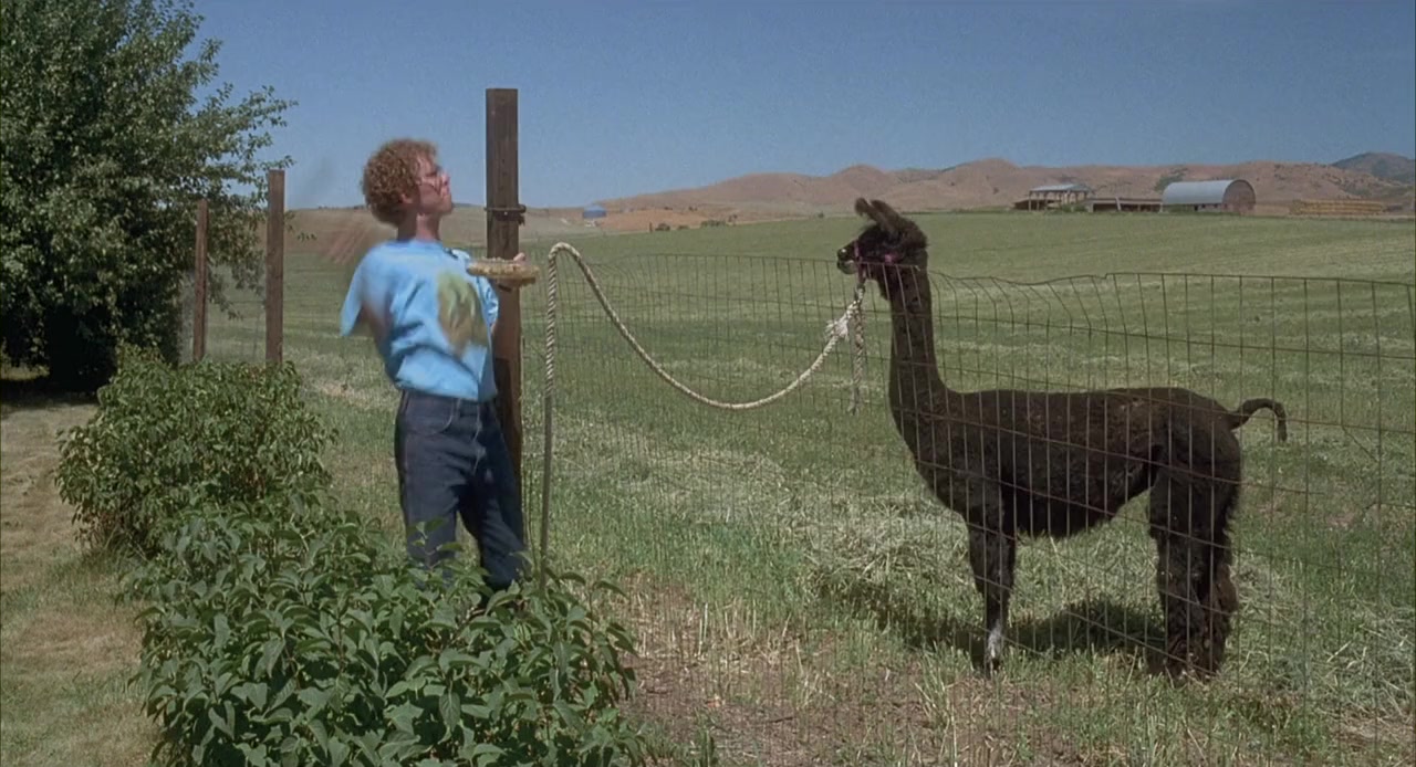 Napoleon Dynamite screenshot 3