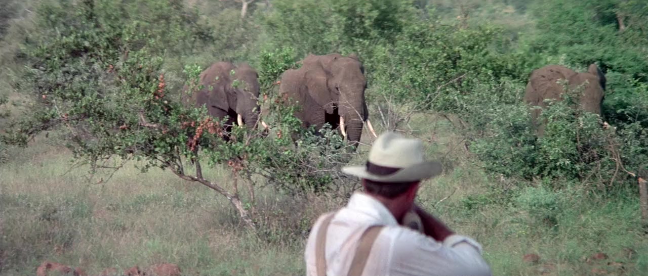Shout at the Devil screenshot 2