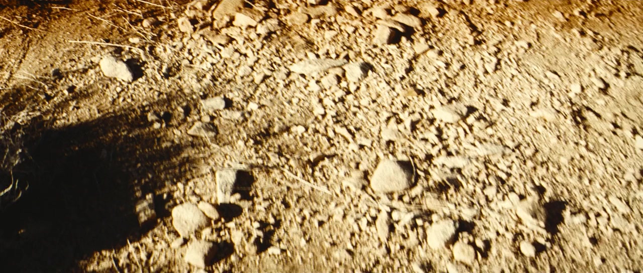 Star Trek: Nemesis screenshot 1