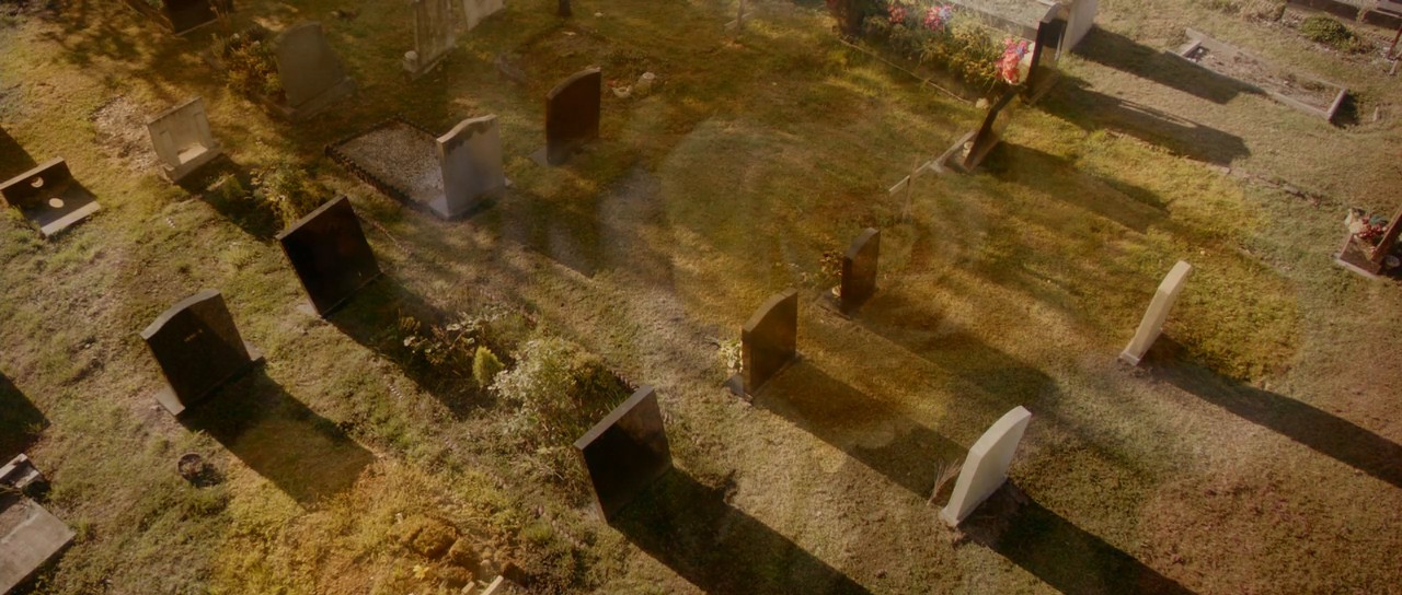 Papadopoulos & Sons screenshot 1