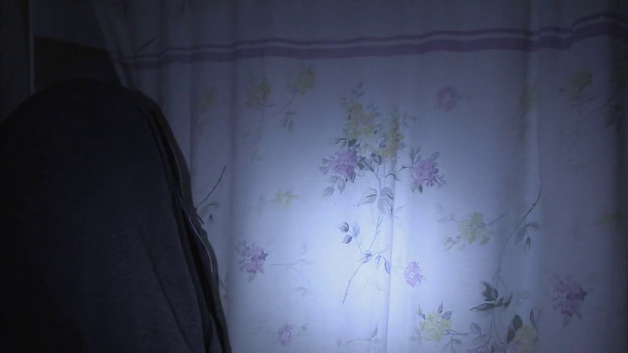 Paranormal Activity: The Marked Ones screenshot 2