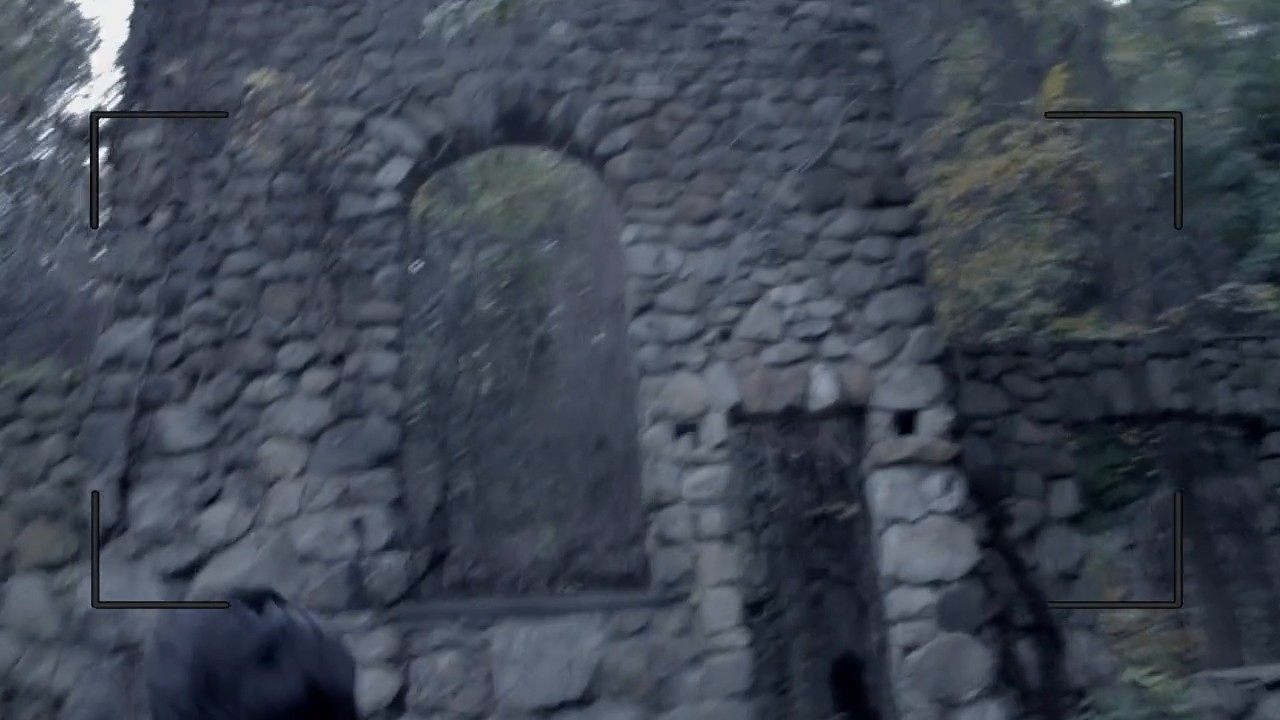 Paranormal Asylum screenshot 1