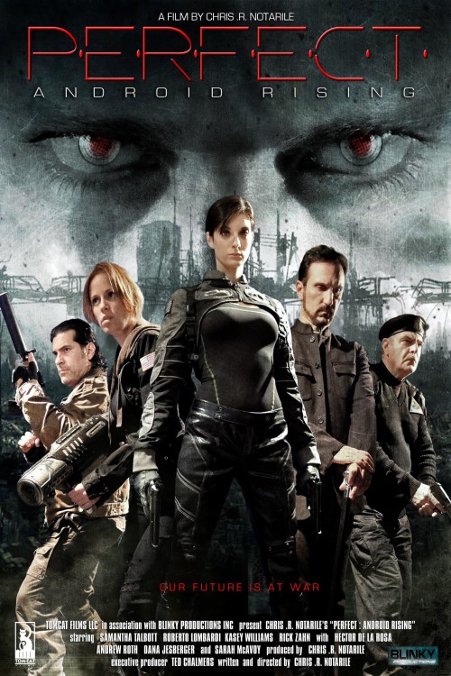 Perfect: Android Rising (2013) poster