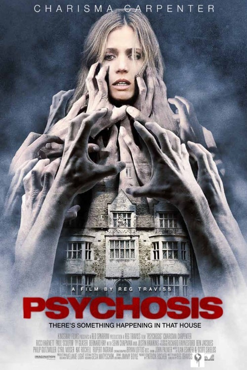 Psychosis (2010) poster