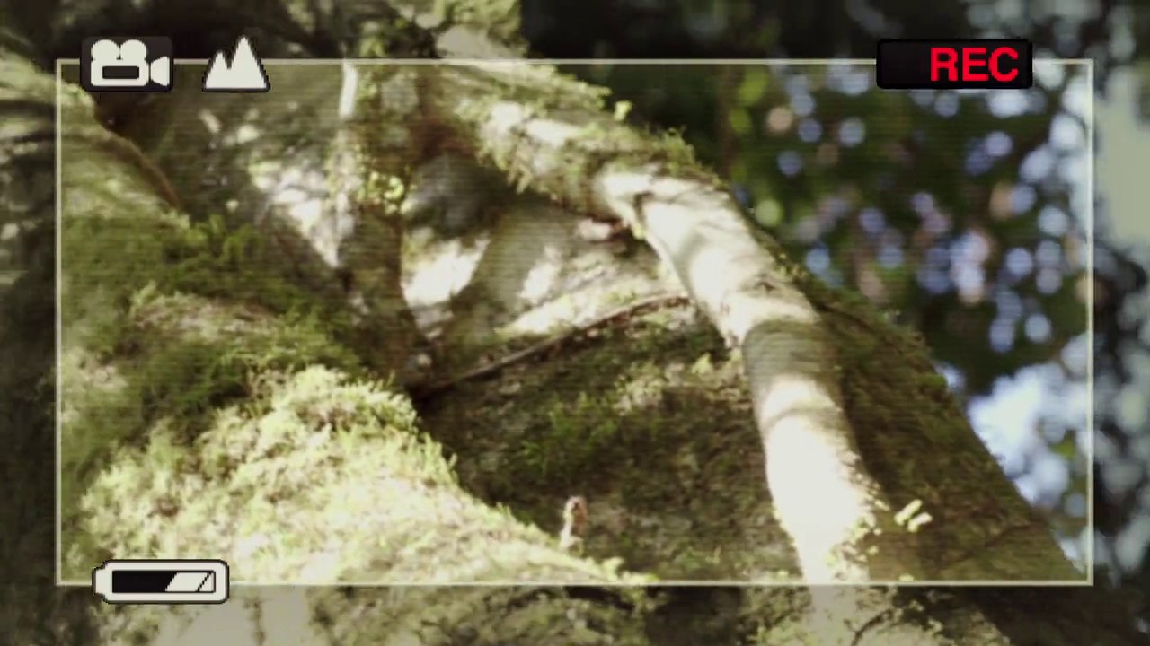 Return to Nim's Island screenshot 2