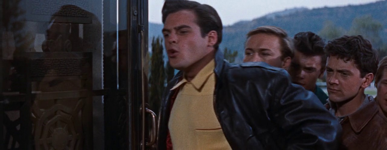 Rebel Without a Cause screenshot 2