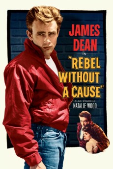 Rebel Without a Cause (1955) poster