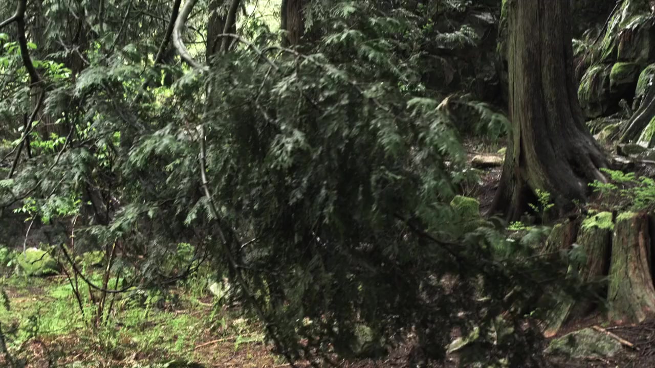 Recoil screenshot 1