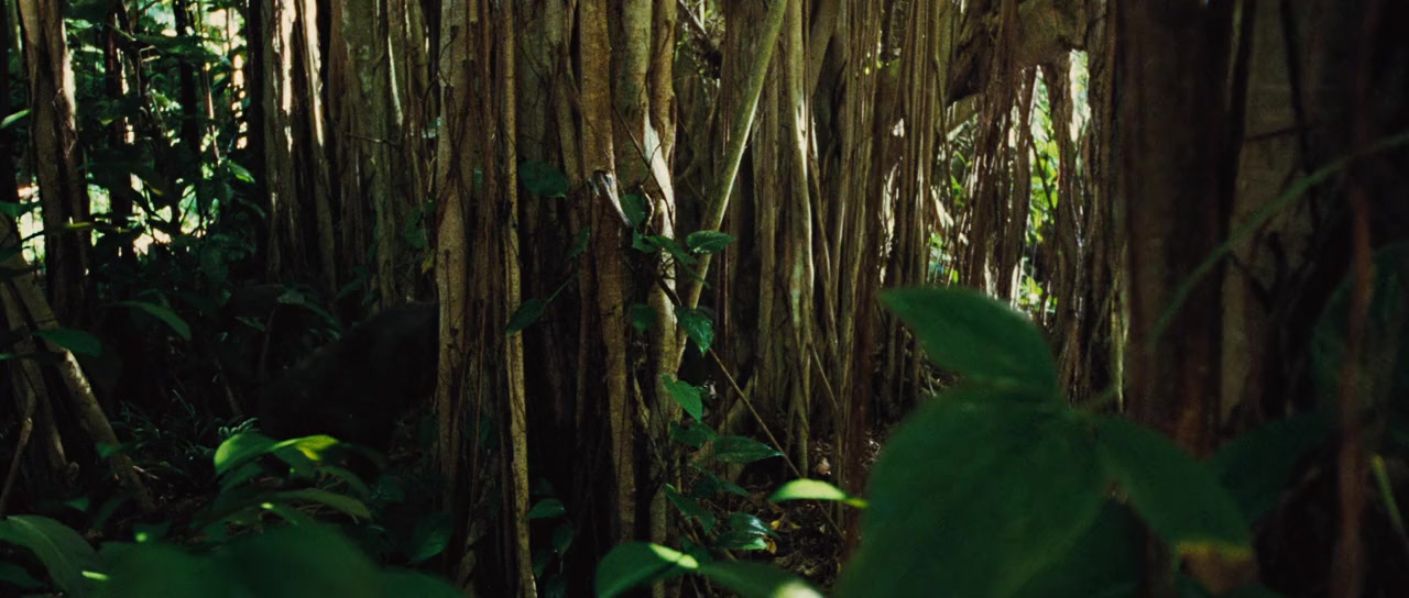 Rise of the Planet of the Apes screenshot 1
