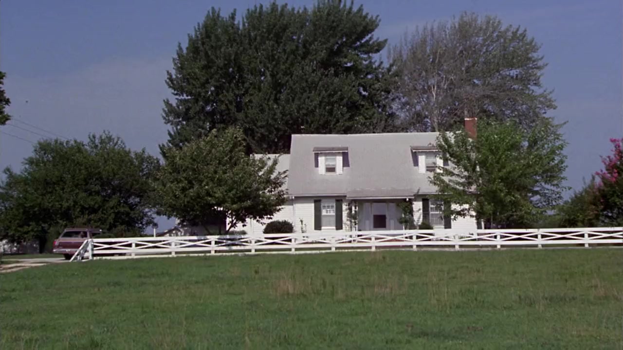 Walking Tall screenshot 3