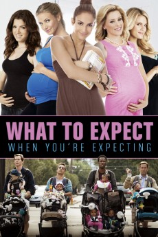 What to Expect When You're Expecting (2012) poster