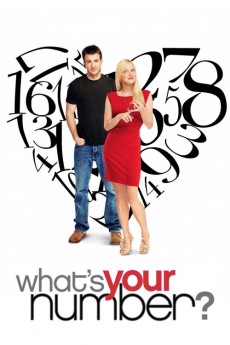 What's Your Number? (2011) poster
