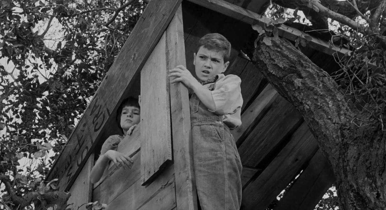 To Kill a Mockingbird screenshot 3