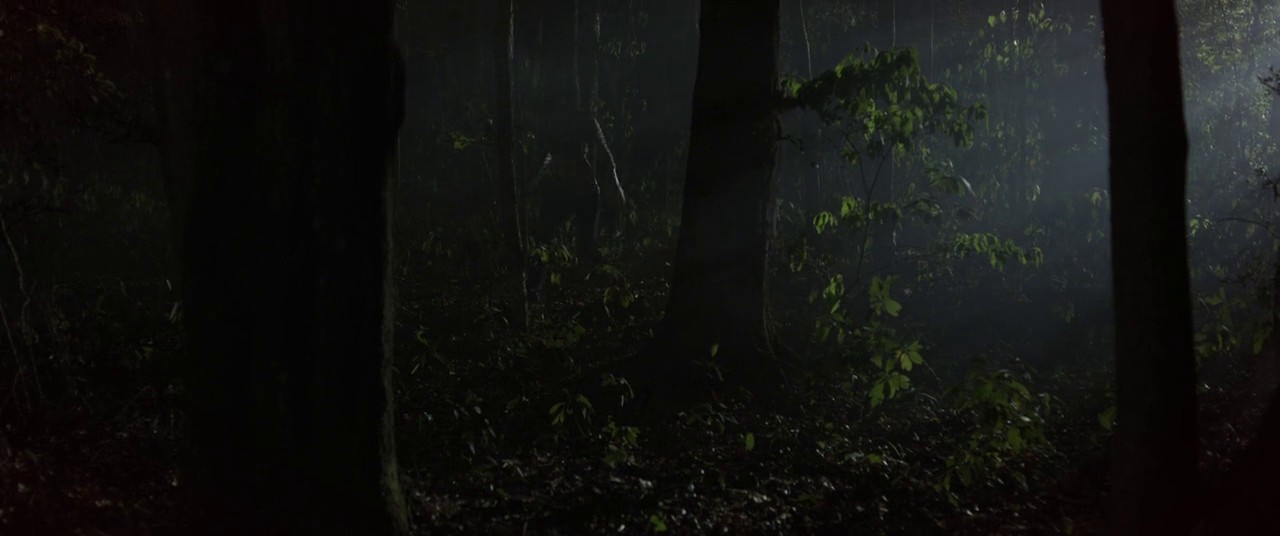 Texas Chainsaw 3D screenshot 2