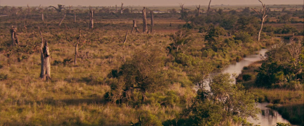 Texas Killing Fields screenshot 1