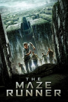 The Maze Runner (2014) poster