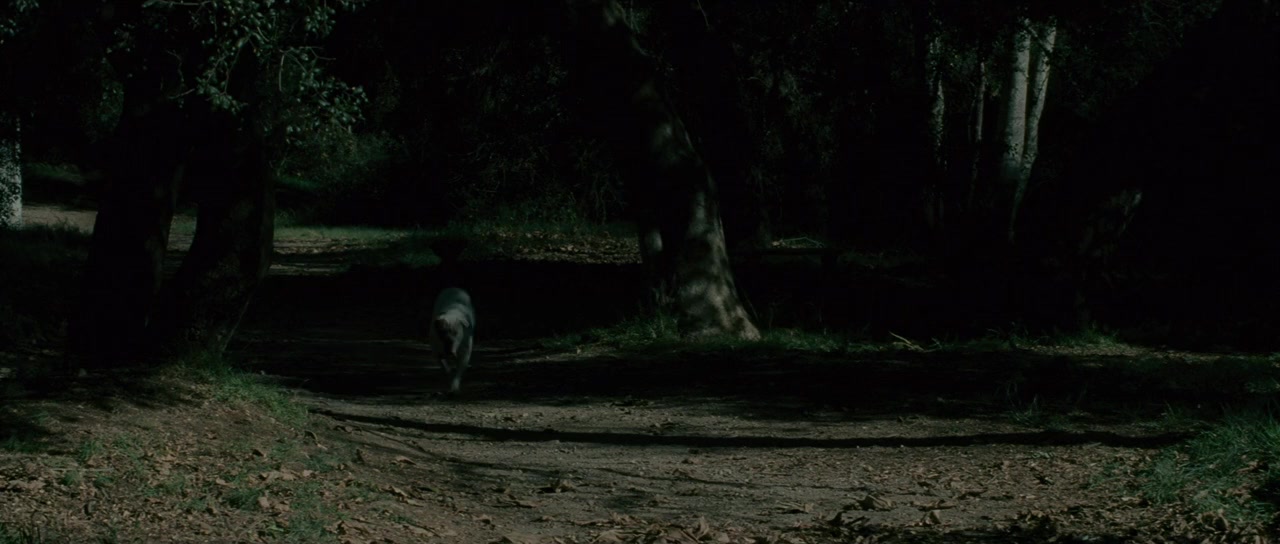 The Number 23 screenshot 2