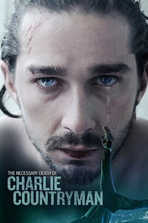 The Necessary Death of Charlie Countryman (2013) poster
