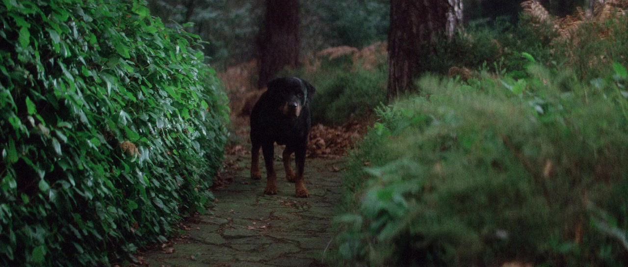 The Omen screenshot 1
