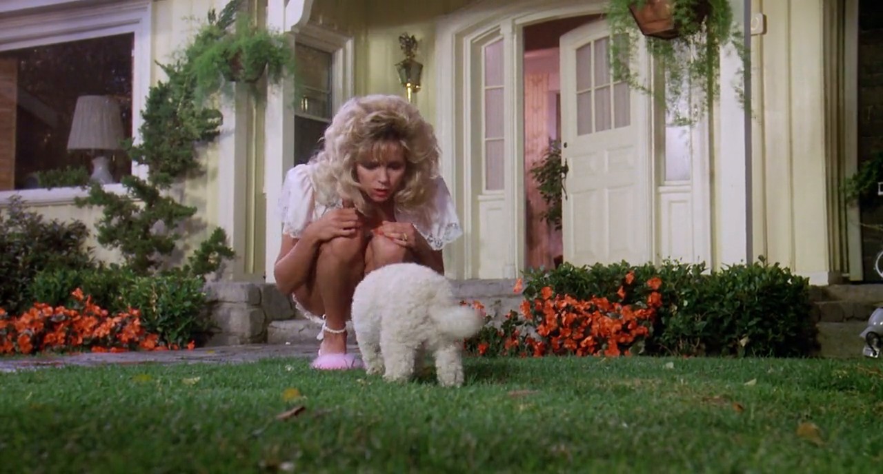 The 'Burbs screenshot 3
