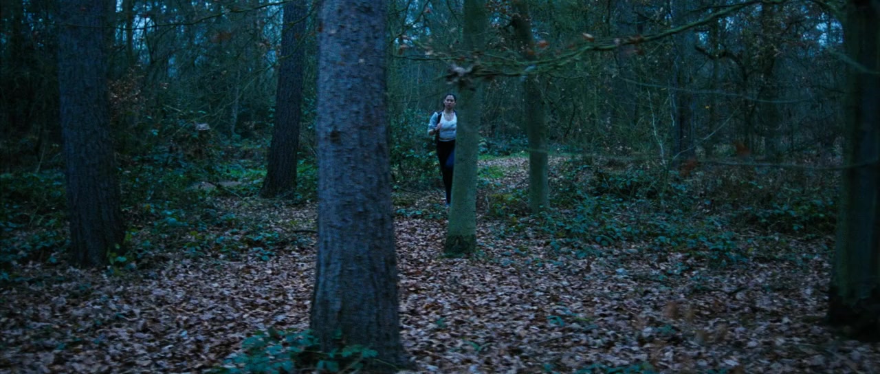 The Descent screenshot 1