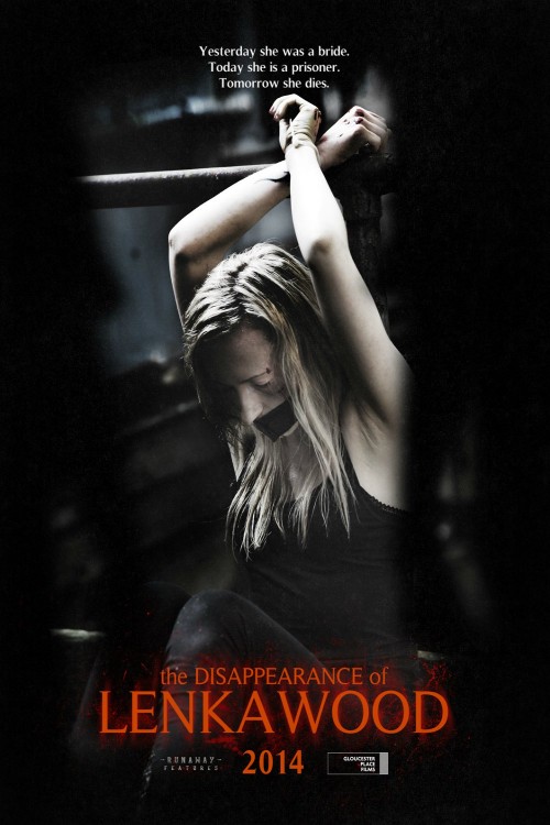 The Disappearance of Lenka Wood (2014) poster