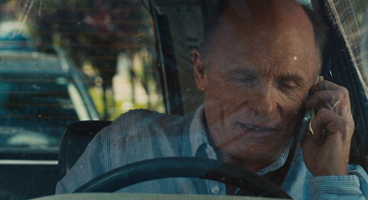 The Face of Love screenshot 1