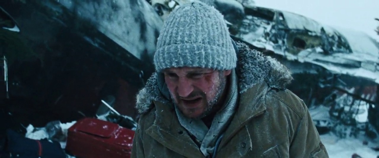 The Grey screenshot 1