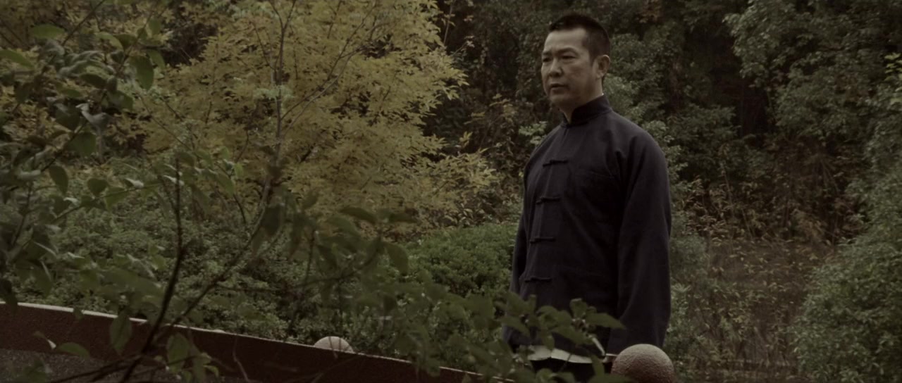 Yip Man chin chyun screenshot 1