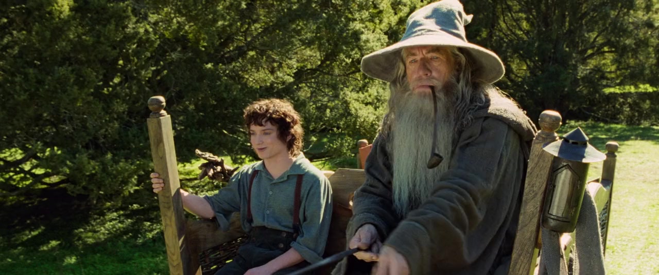 The Lord of the Rings: The Fellowship of the Ring screenshot 1
