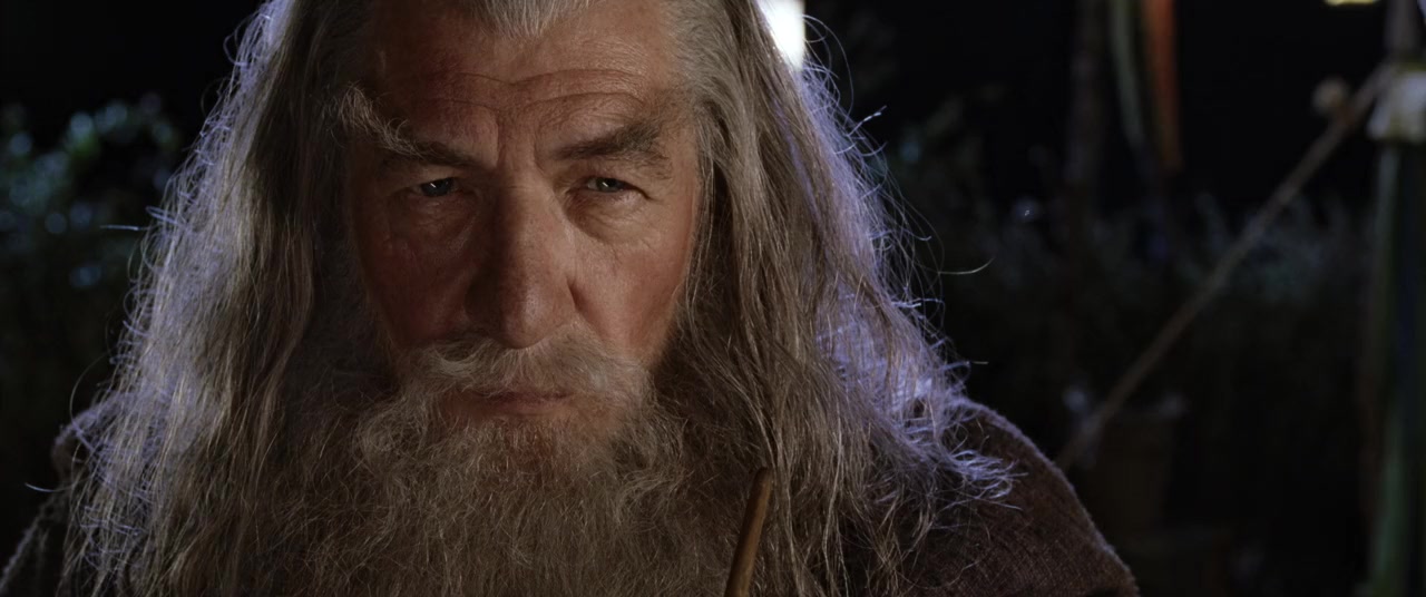 The Lord of the Rings: The Fellowship of the Ring screenshot 3