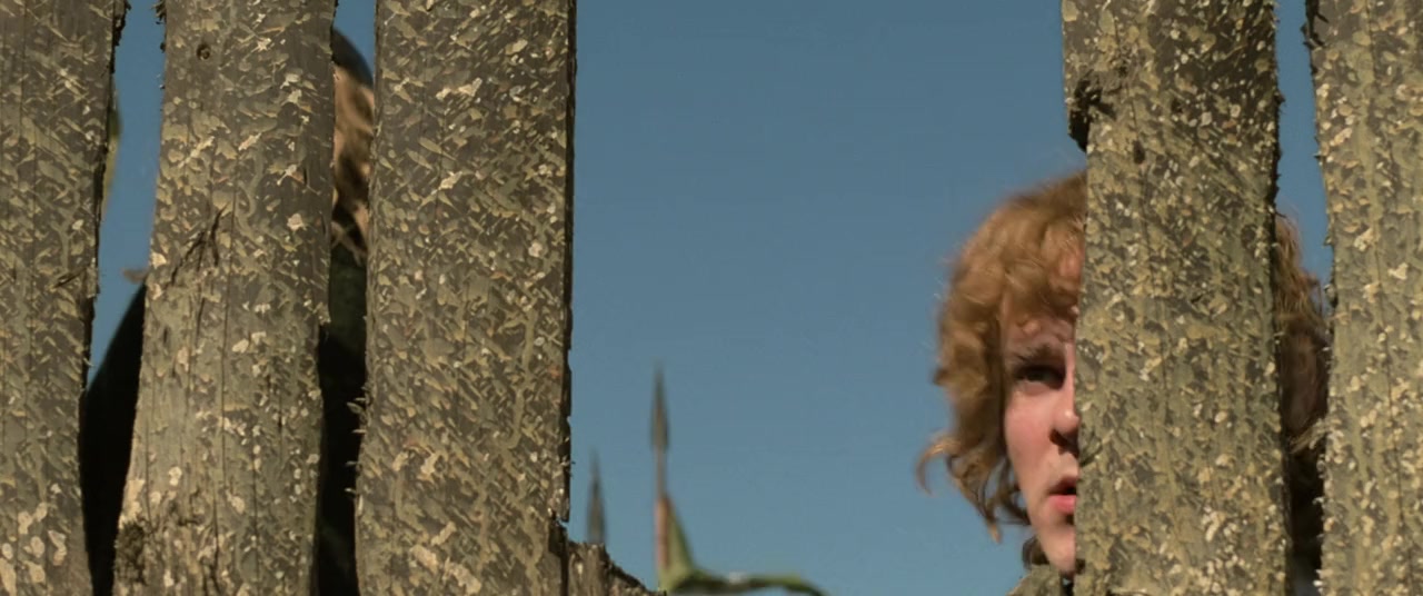 The Lord of the Rings: The Return of the King screenshot 3