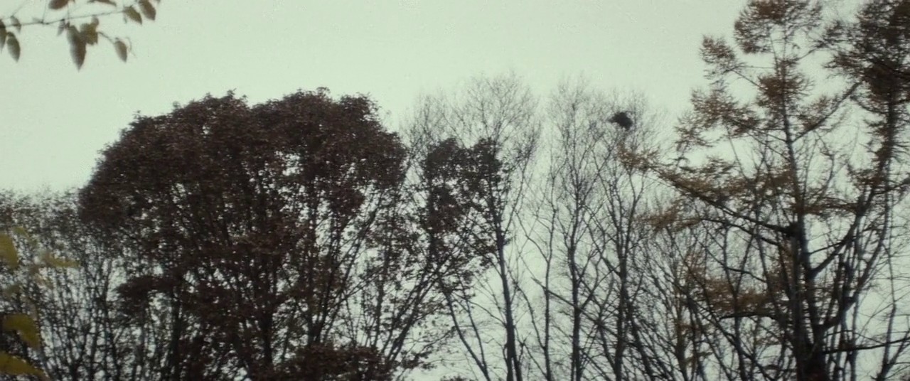 The Lords of Salem screenshot 2