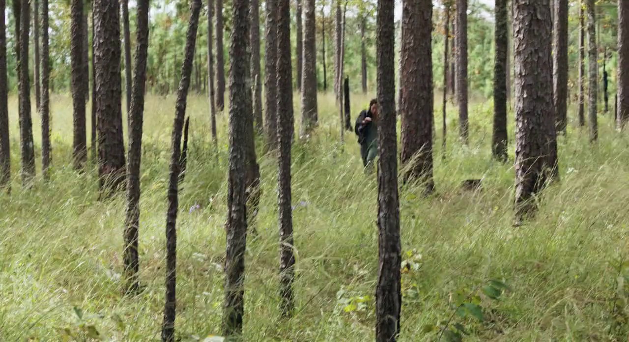 The Starving Games screenshot 2