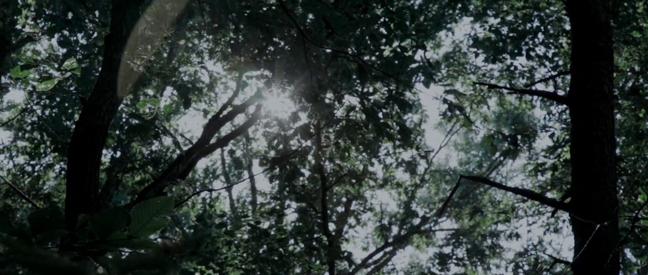 The Taking screenshot 3