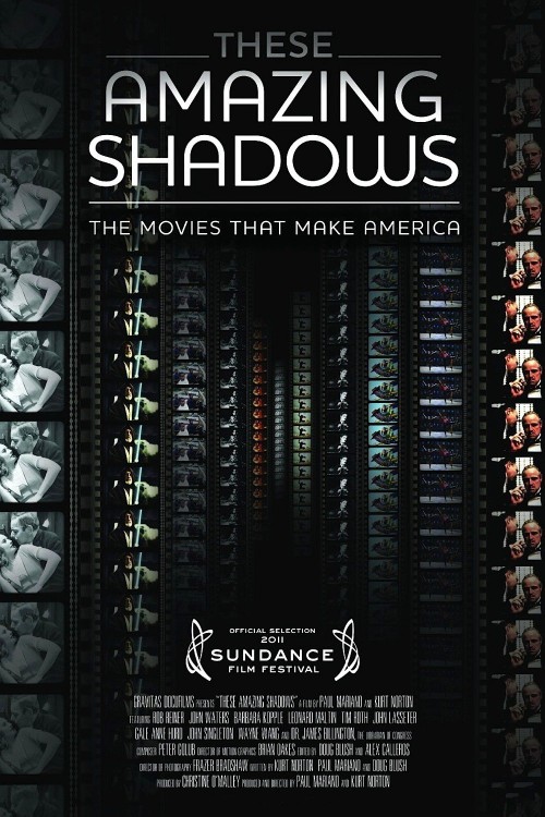 These Amazing Shadows (2011) poster