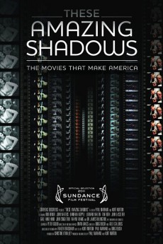 These Amazing Shadows (2011) poster