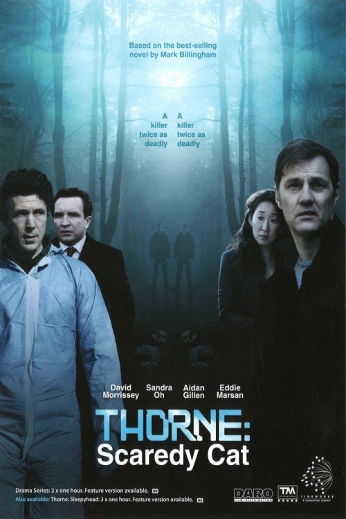 Thorne: Scaredycat (2010) poster