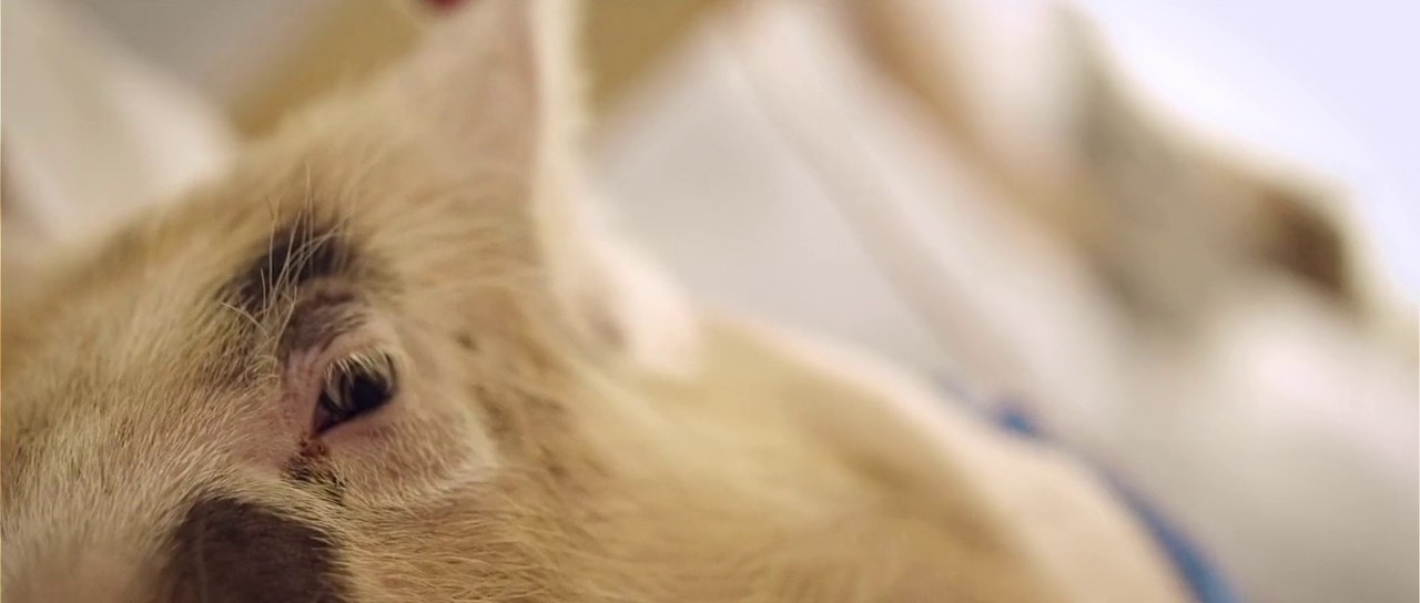 Upstream Color screenshot 1