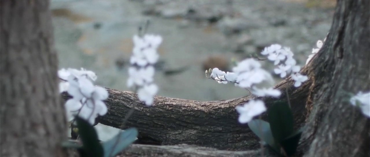 Upstream Color screenshot 2