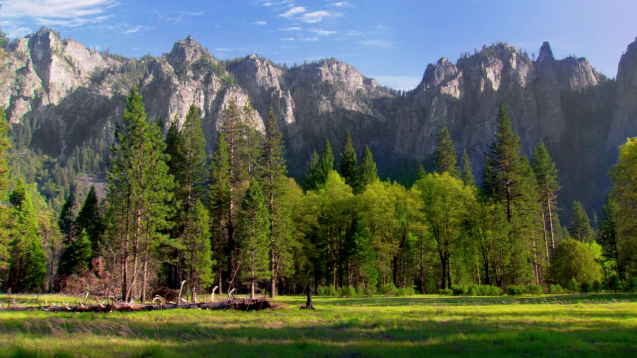 Yogi Bear screenshot 2