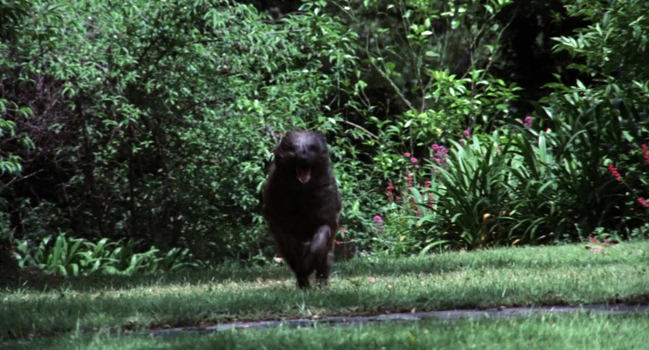 C.H.O.M.P.S. screenshot 1