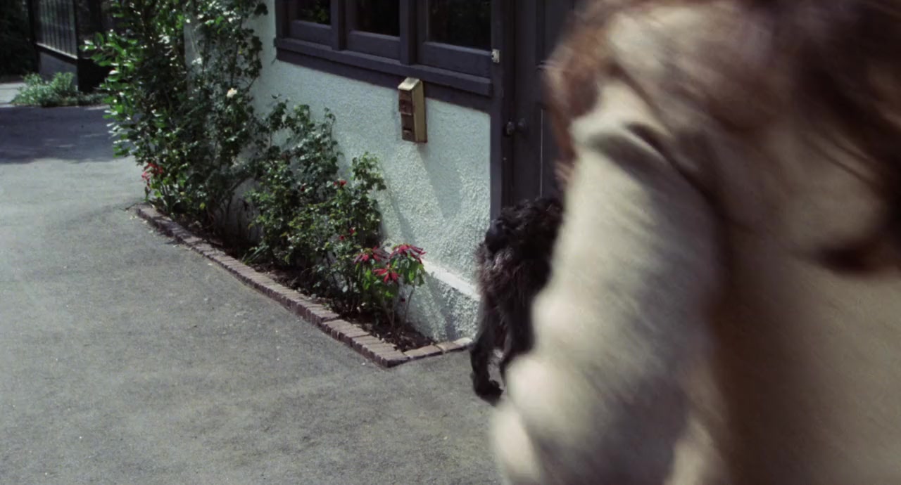 C.H.O.M.P.S. screenshot 3