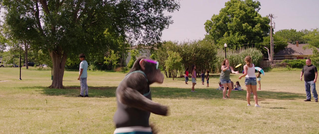 C.I.Ape screenshot 1