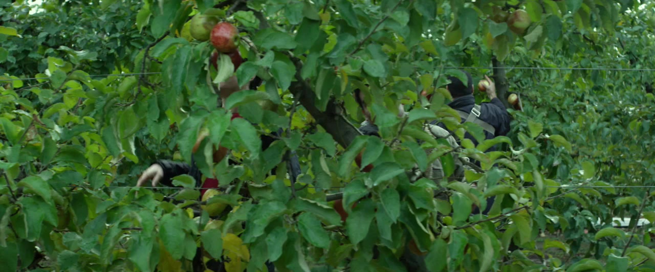 C.O.G. screenshot 1