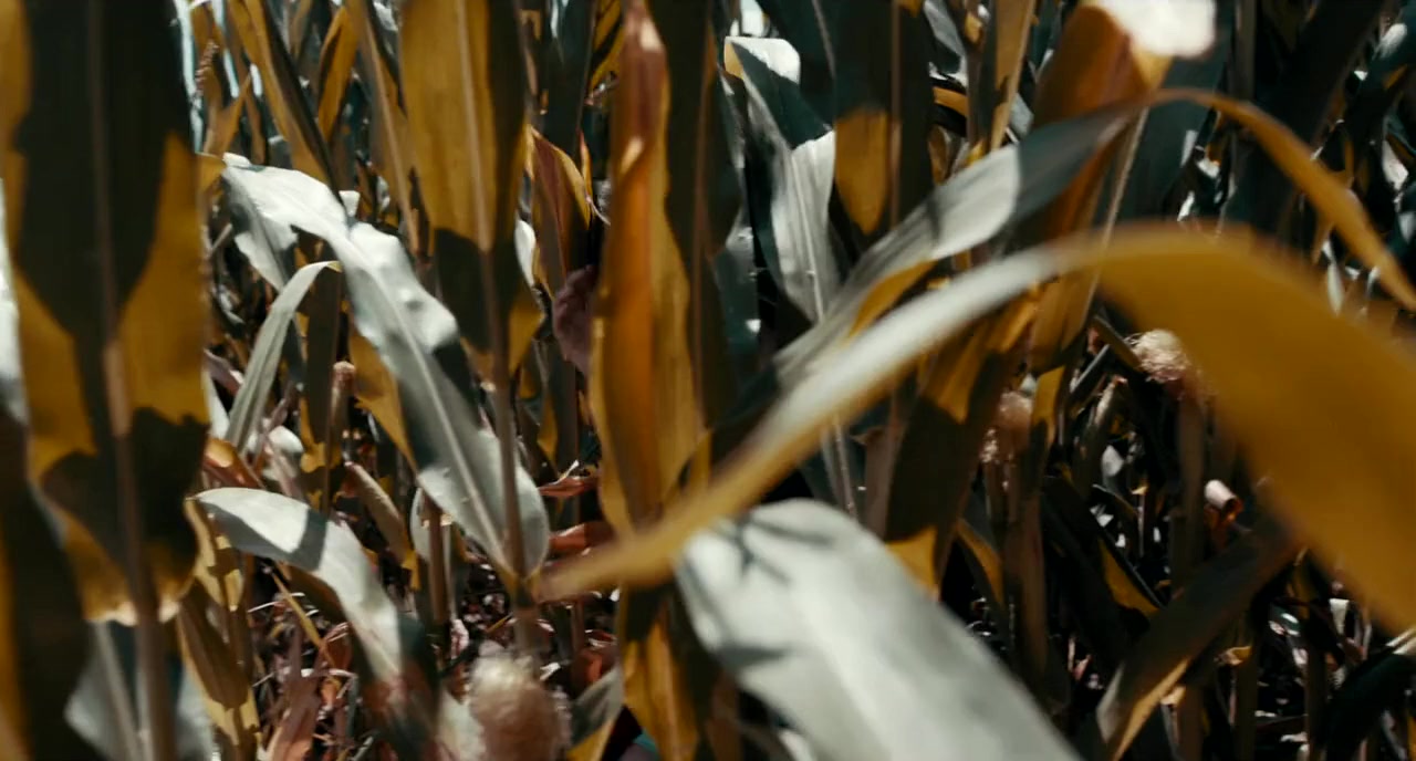 C.O.R.N. screenshot 1
