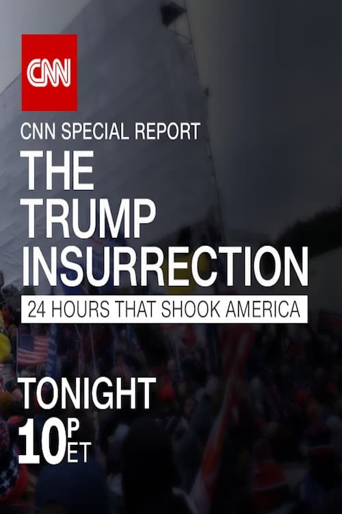 The Trump Insurrection: 24 Hours That Shook America (2021) poster